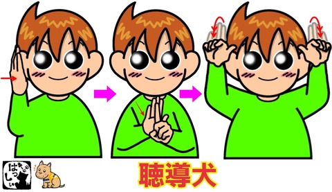 25-10-02-08-58-48-098_deco