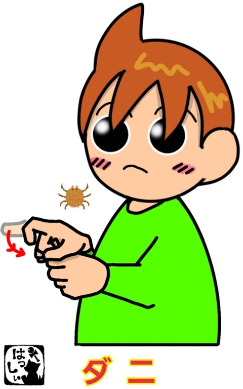 23-05-11-14-35-33-765_deco