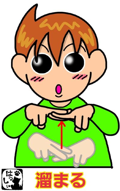 【手は脳について何を語るか】手話失語からみたことばと脳 手は脳について何を語るか 手話失語からみたことばと脳 中古本