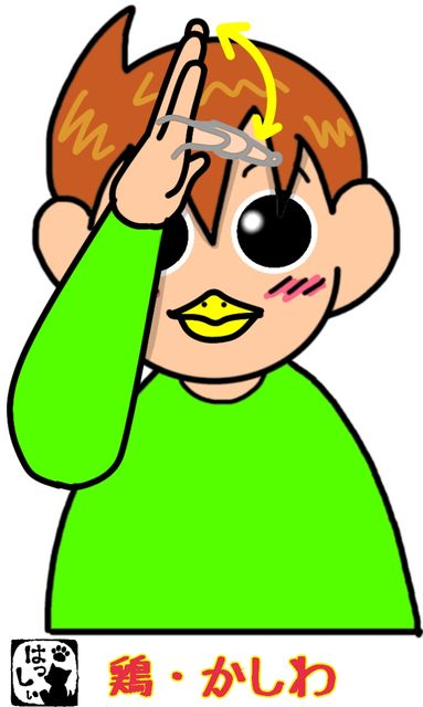 手話単語 ４９３ 鶏 かしわ 鳥 手話しゅわshushushu