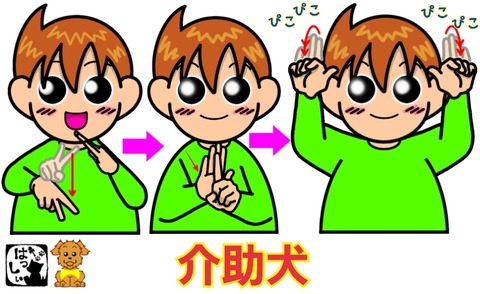 25-10-03-08-52-11-699_deco