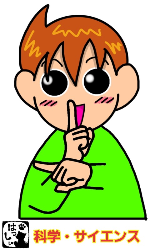 18-12-11-08-04-26-366_deco