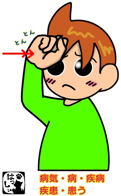 18-02-19-11-39-46-299_deco