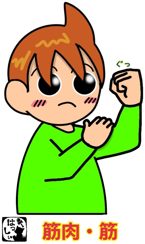 23-02-10-08-54-21-598_deco