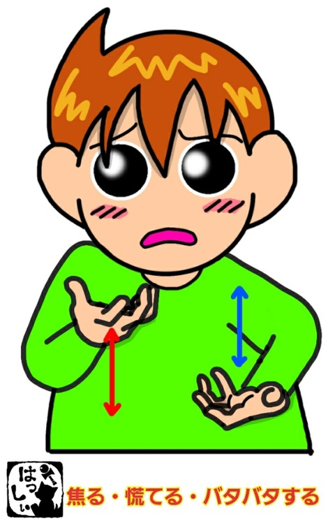 【手は脳について何を語るか】手話失語からみたことばと脳 手は脳について何を語るか】手話失語からみたことばと脳