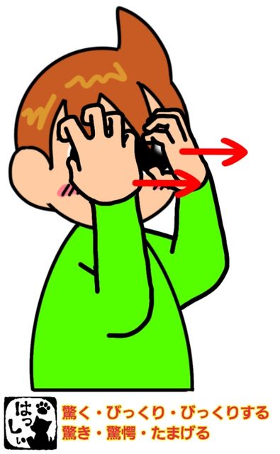 手話単語 ２５３ 驚く びっくり びっくりする 驚き 驚愕 驚愕する たまげる 手話しゅわshushushu
