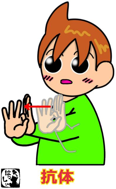手話単語 １１５９ 抗体 手話しゅわshushushu