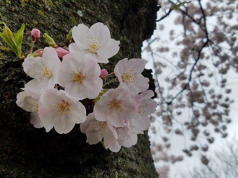 20170409_132044