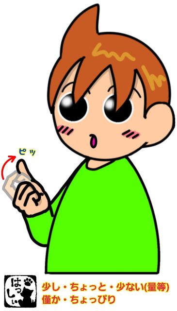 手話単語 ８５０ 少し ちょっと 少ない 量等 僅か ちょっぴり 手話しゅわshushushu