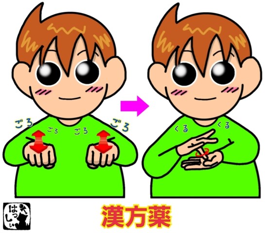 手話で必見医療のすべて・手話で学ぶ薬の教科書