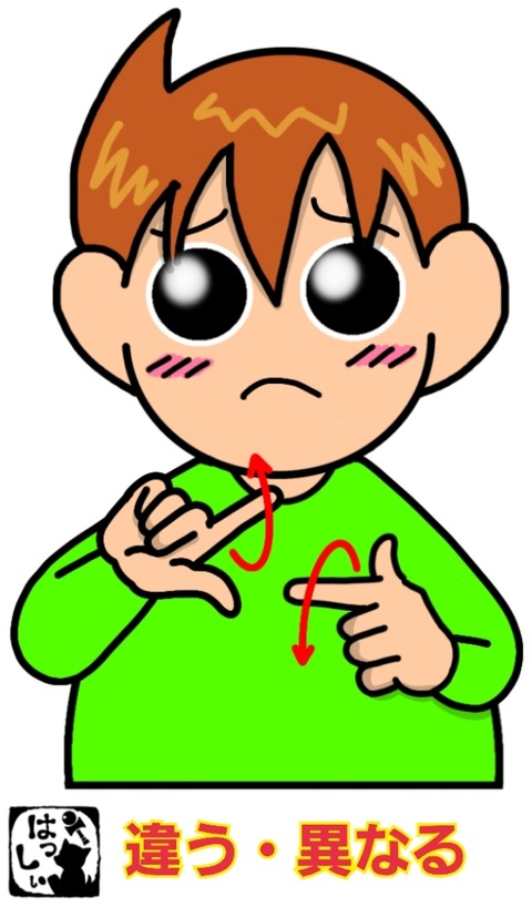 24-01-15-13-51-24-895_deco