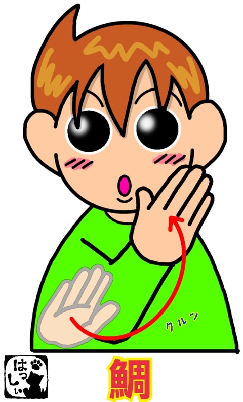 17-12-28-10-23-24-796_deco