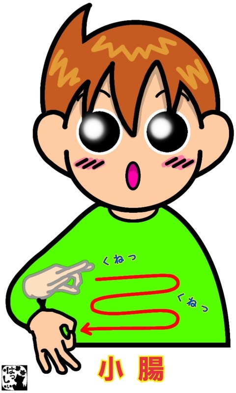 26-01-13-21-52-22-797_deco