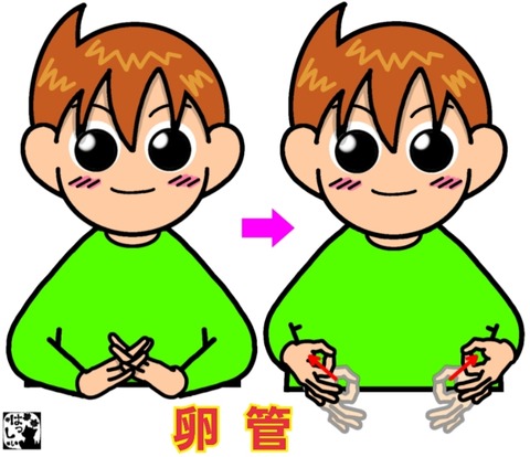 26-01-13-08-05-31-526_deco