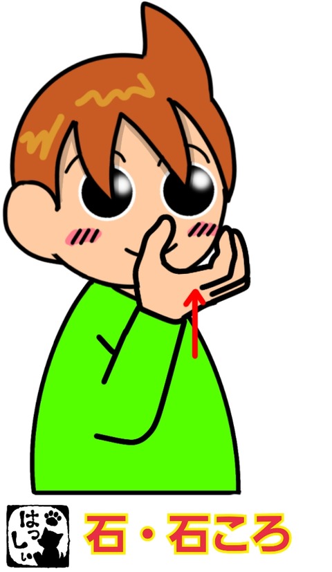手話単語 274 石 石ころ 手話しゅわshushushu 手話単語 274 石 石ころ 手話しゅわshushushu
