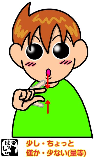 手話単語:849 【少し】【ちょっと】【少ない(量等)】【僅か】【マイノリティ】 : 手話しゅわSHUSHUSHU Powered by ...