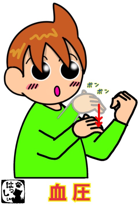 18-06-04-09-52-00-837_deco