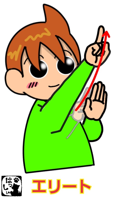 18-12-20-10-00-12-458_deco