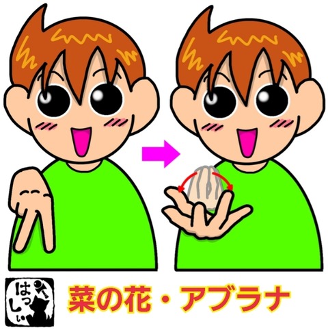 23-02-18-09-18-03-354_deco