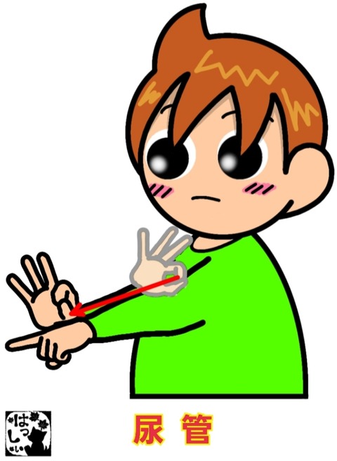 26-01-14-13-40-58-766_deco