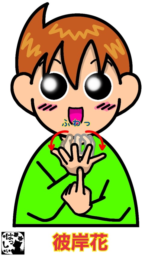 25-12-17-13-38-34-911_deco