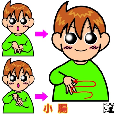 26-01-14-08-05-56-142_deco