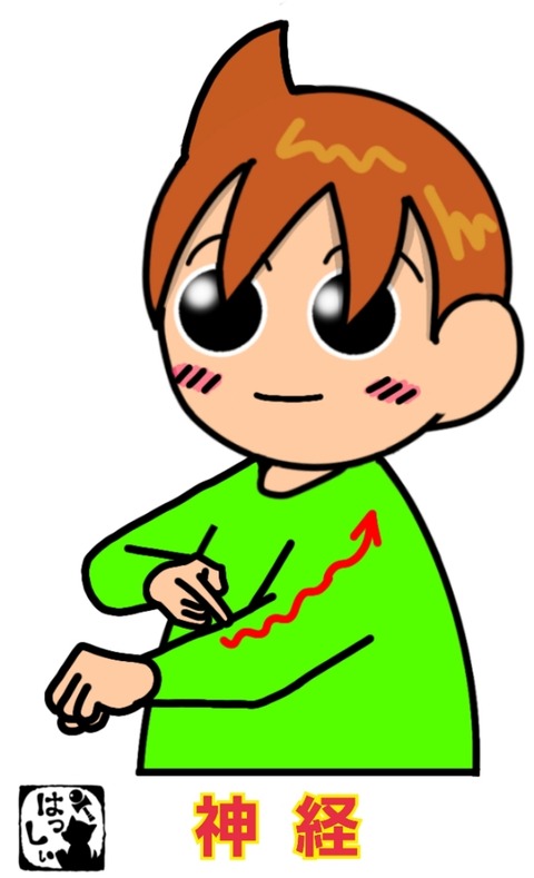 25-01-21-14-11-39-171_deco