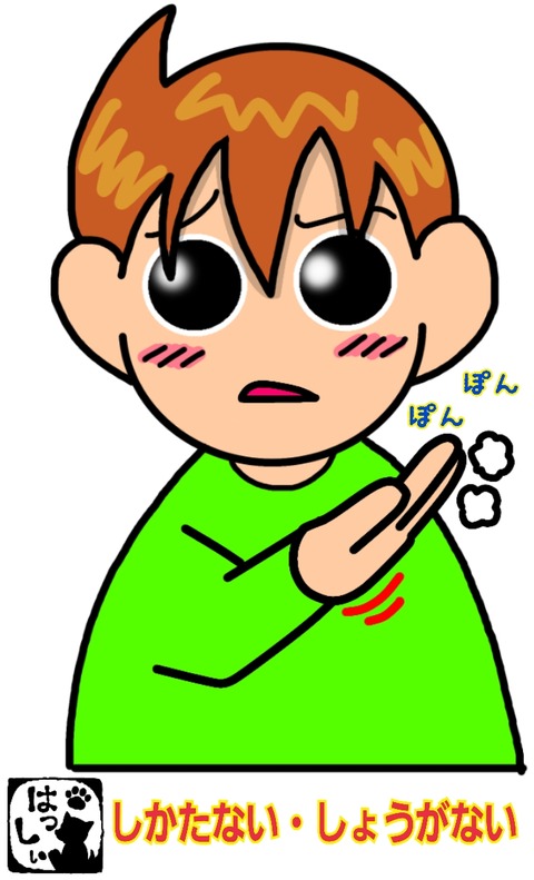 17-11-22-10-44-23-666_deco