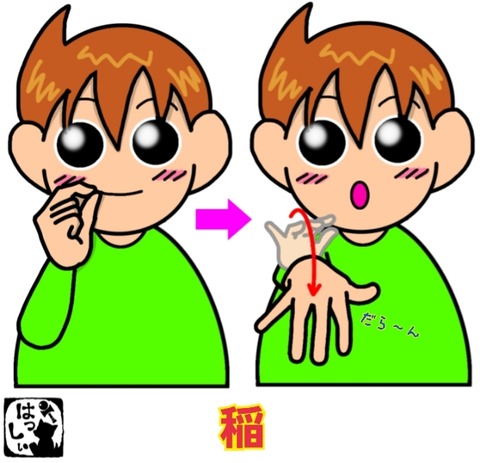 24-08-22-08-12-39-446_deco