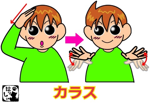 18-07-30-08-15-55-761_deco