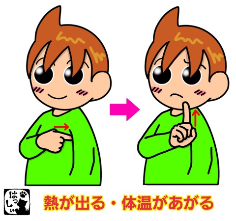 18-01-12-13-52-23-593_deco