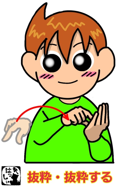 25-01-10-07-04-38-839_deco