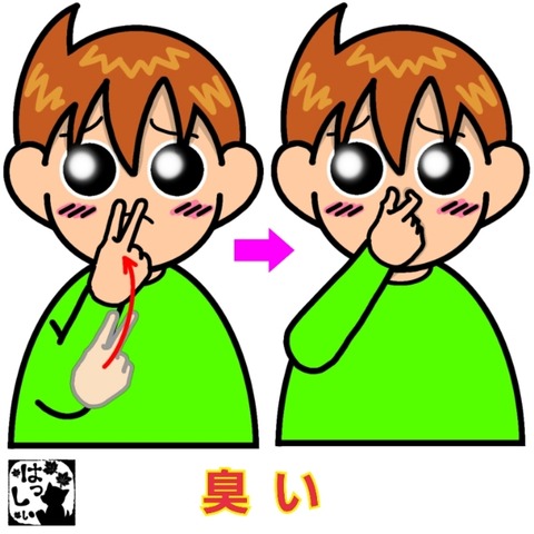 26-01-07-08-19-57-779_deco