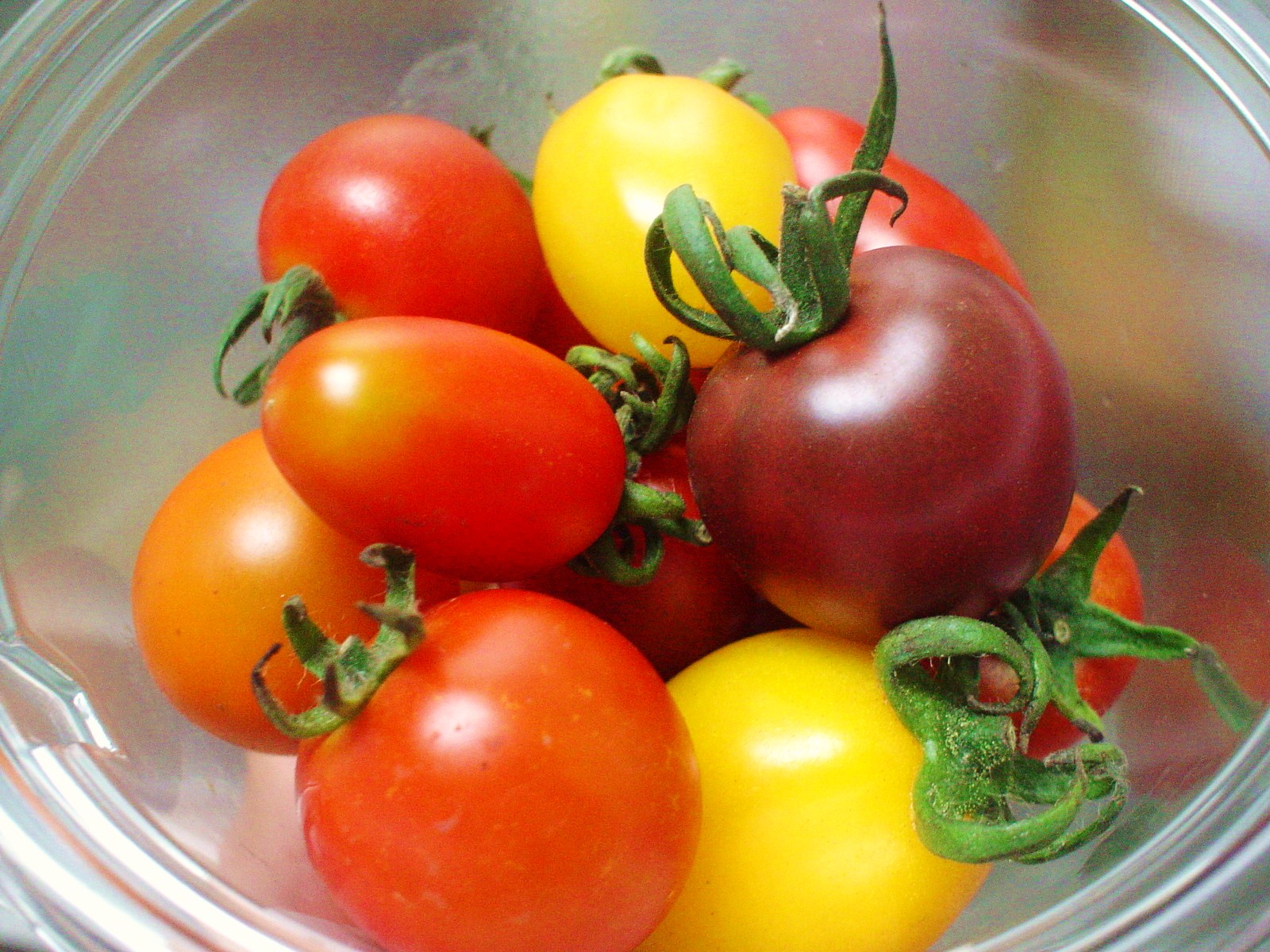 トマトいろいろ 再び ママは働くよ