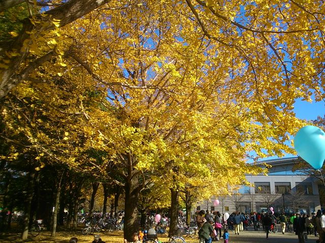 光が丘公園 Ja農業祭 再び ママは働くよ 光が丘公園 Ja農業祭 再び ママは働くよ