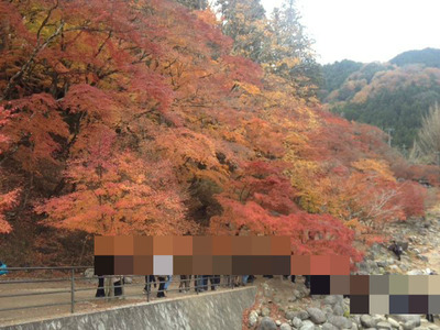 BlogPaint