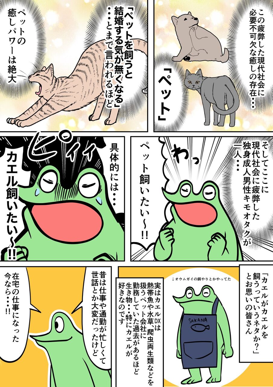レポ漫画 カエルを捕まえに行こう カエルdxのオタ活日記 レポ漫画 カエルを捕まえに行こう カエルdxのオタ活日記