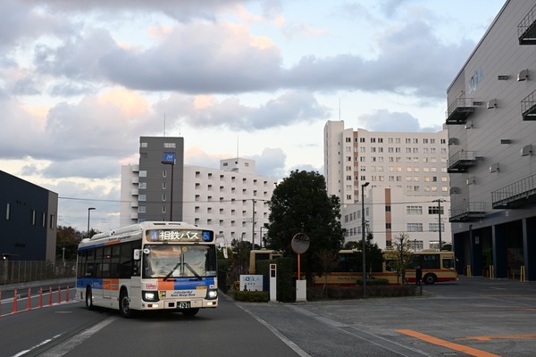 しみんまつり (4)