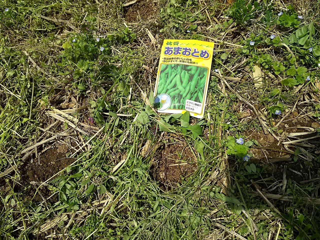 イメージ 3