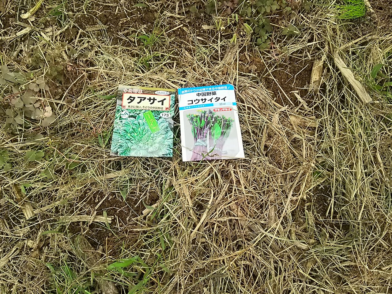 イメージ 4