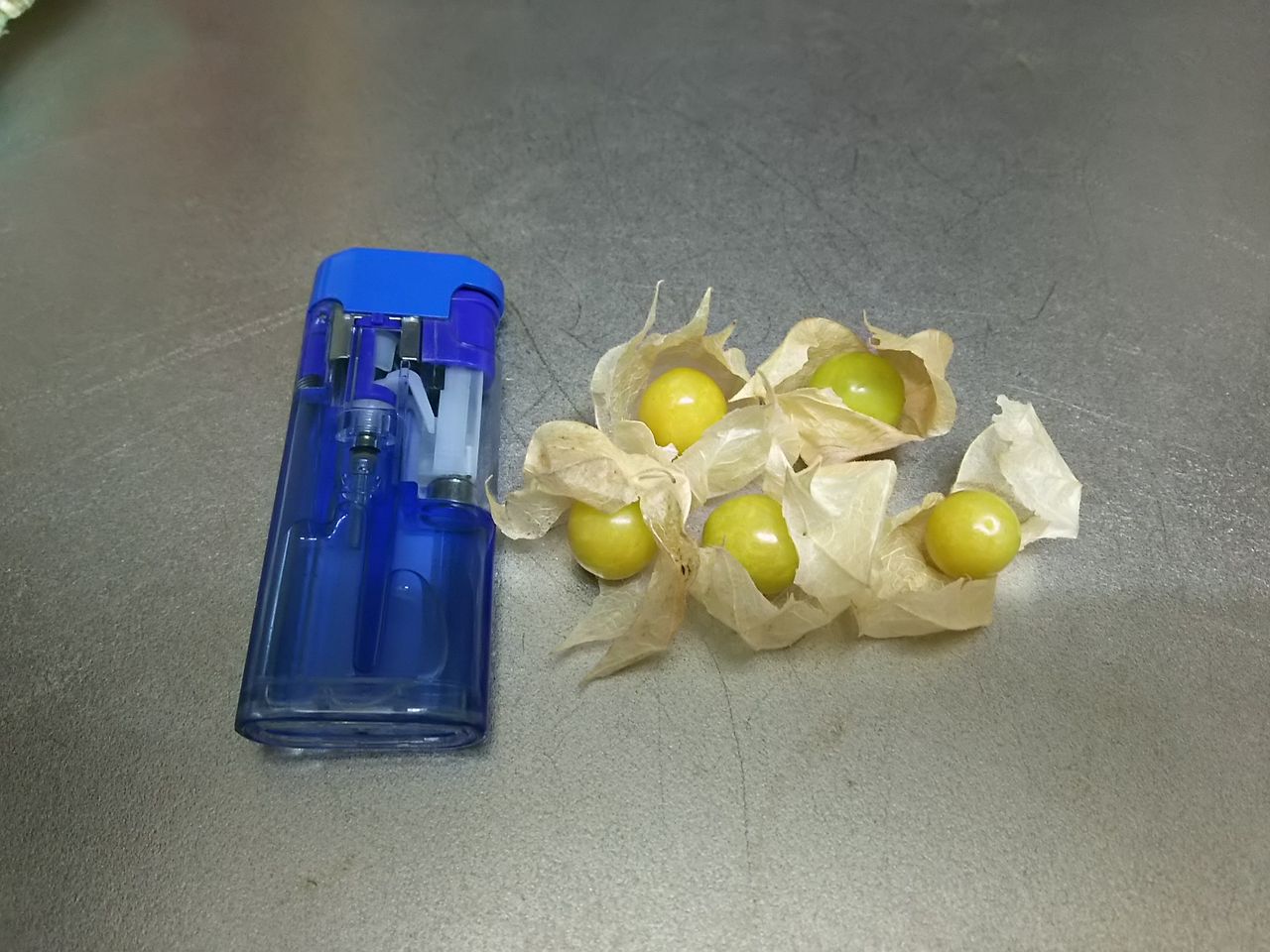 イメージ 7
