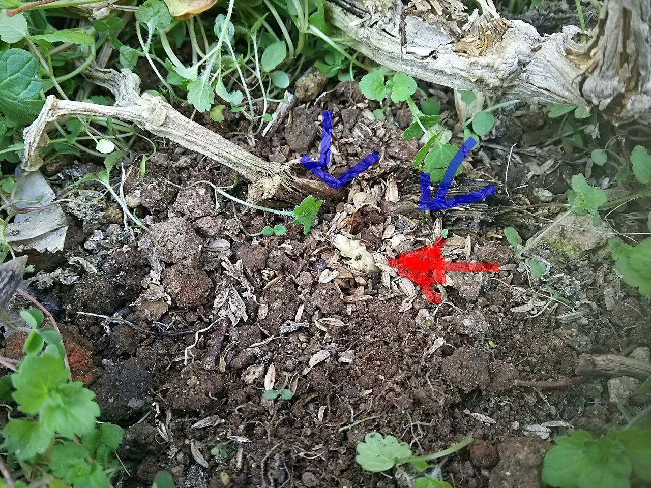 イメージ 11