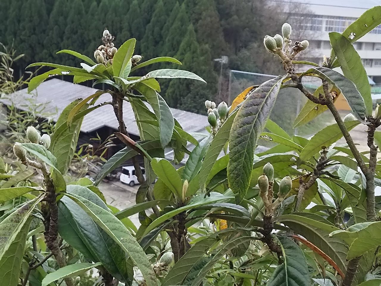 イメージ 6