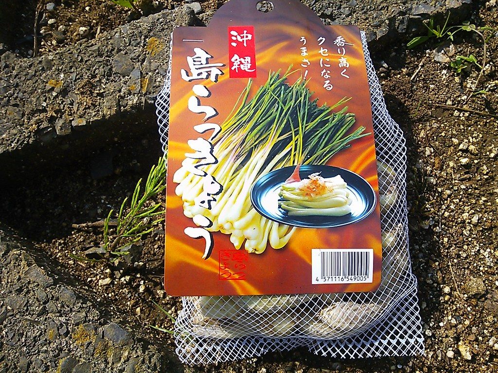 イメージ 3