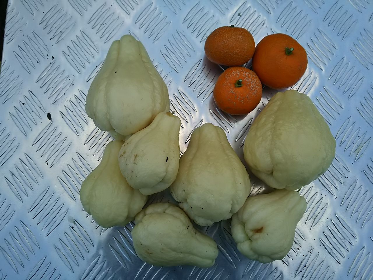 イメージ 3