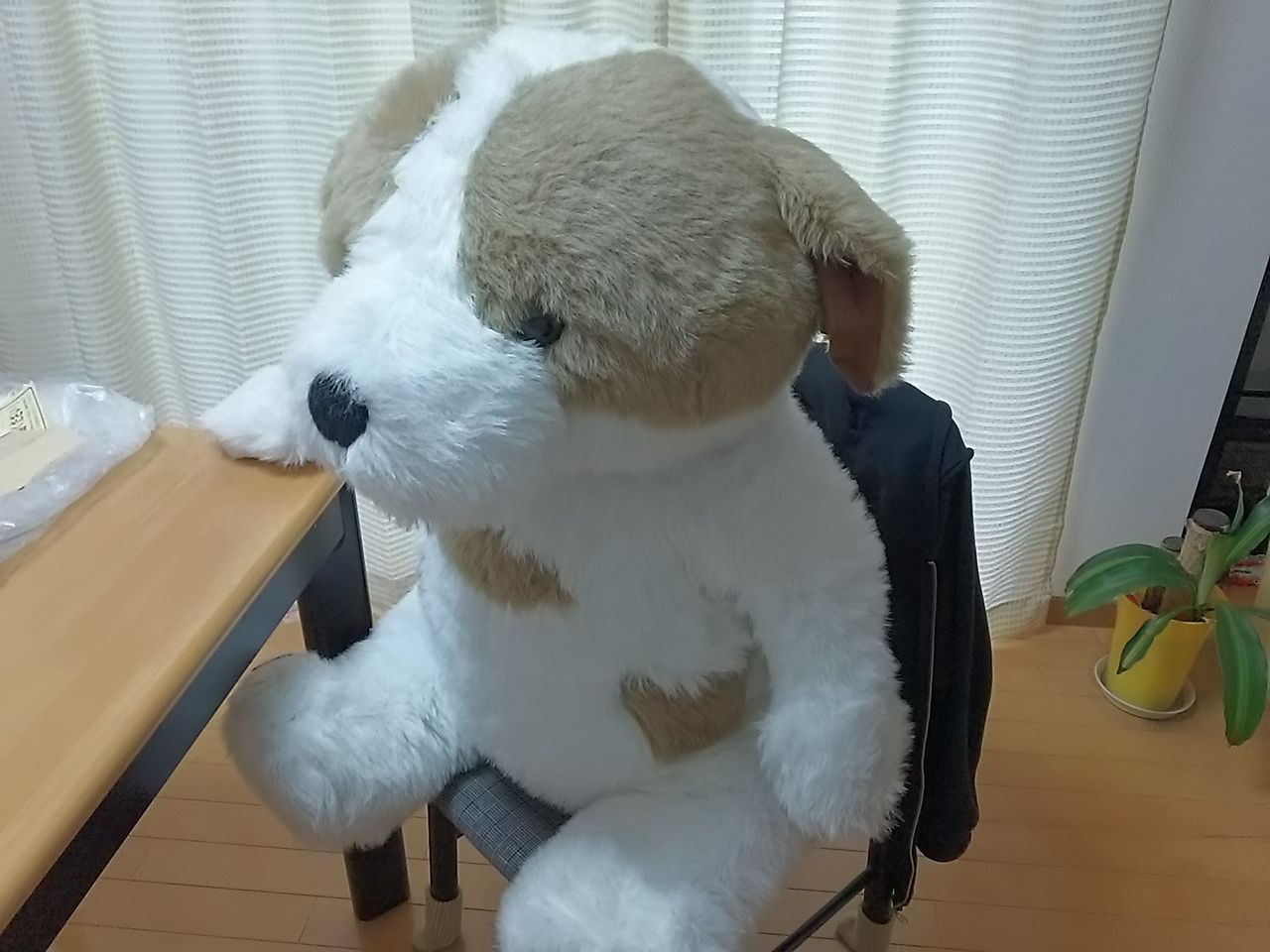 イメージ 7