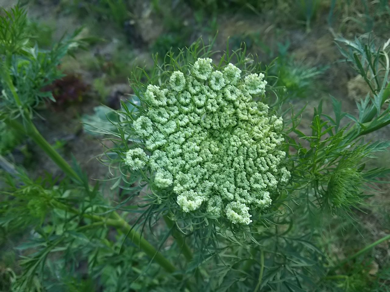 イメージ 6