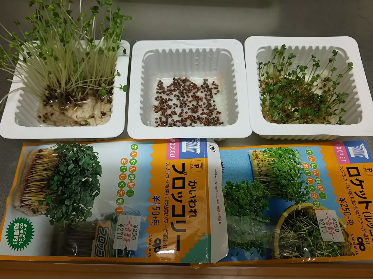 イメージ 4