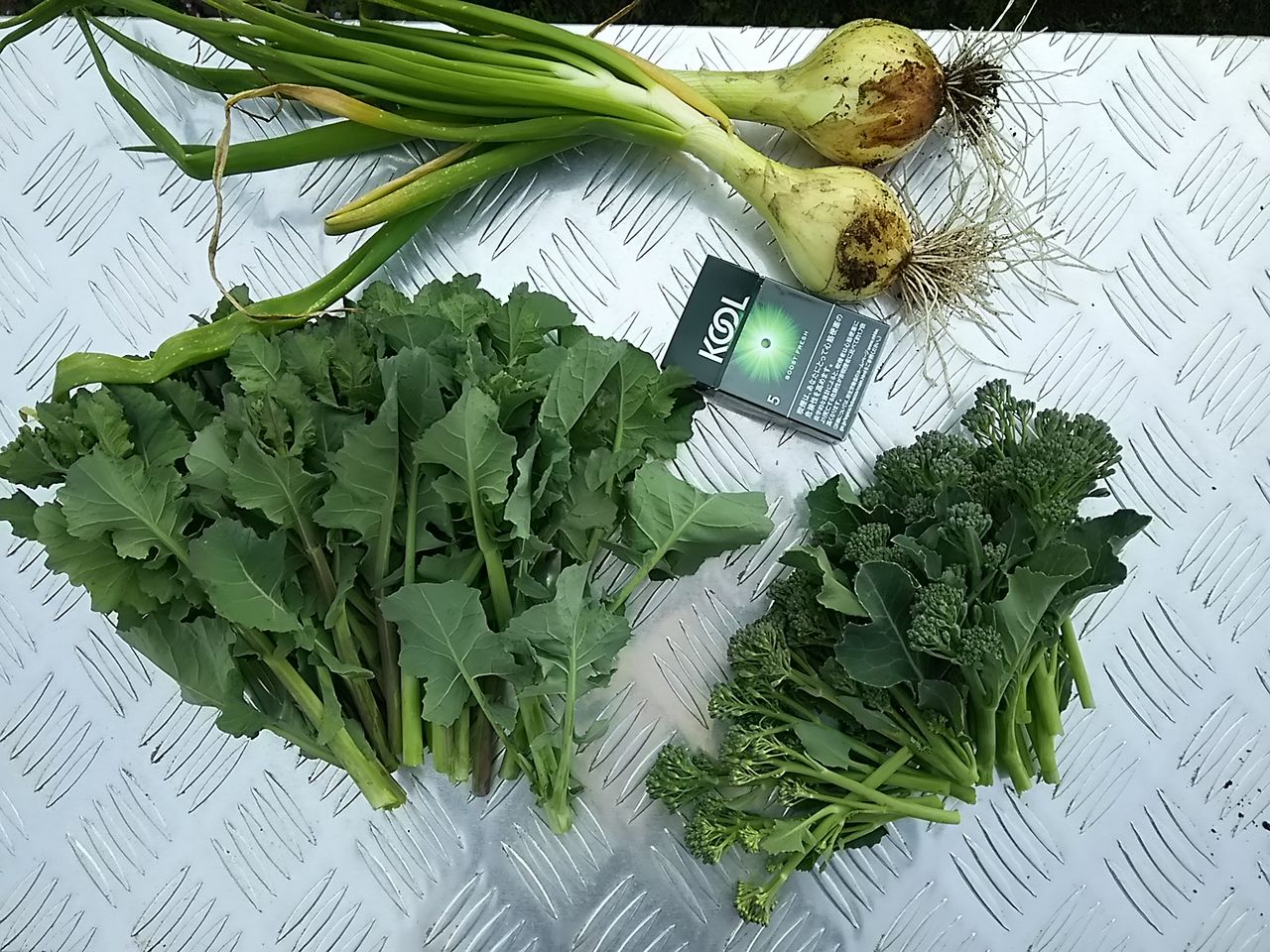 イメージ 9
