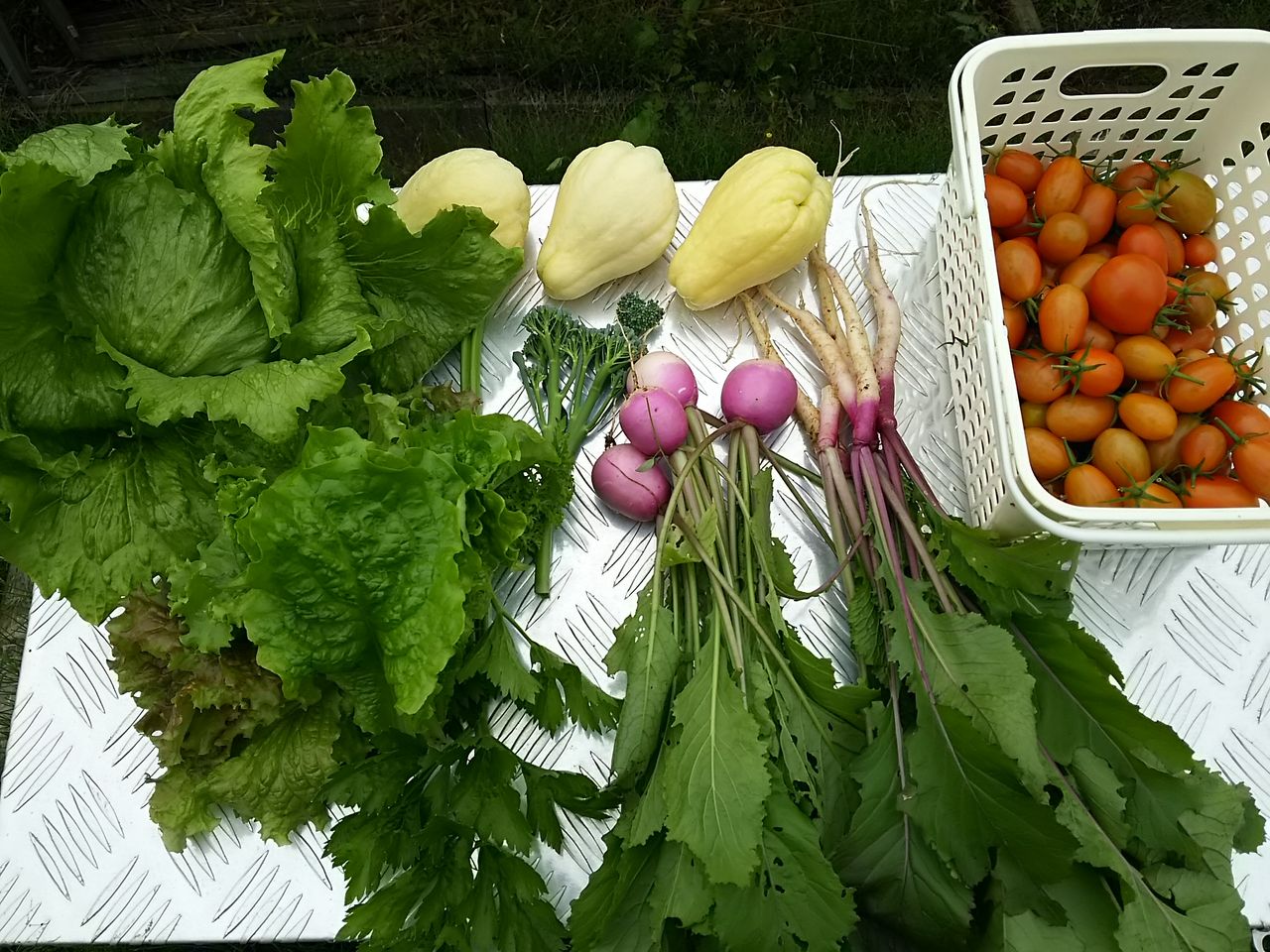 イメージ 6